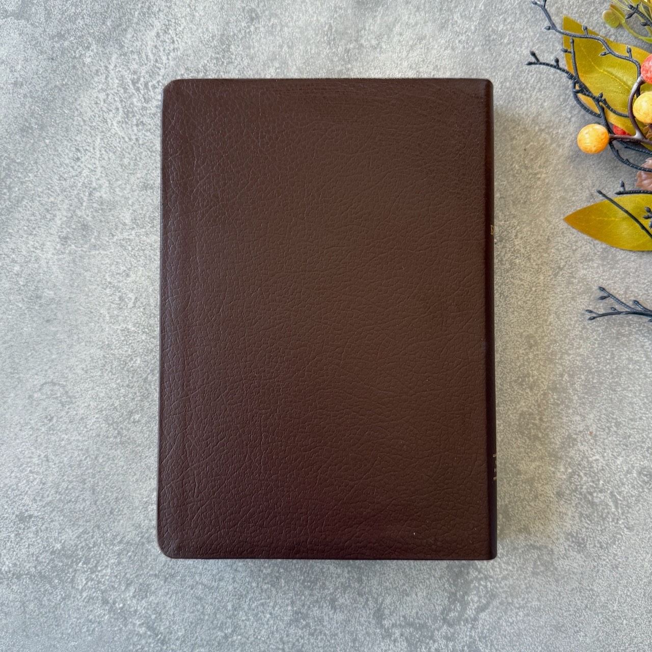 Библия в современном русском переводе 061. под редакцией Кулакова. Кожаный переплет, золотые страницы, цвет темно-коричневый