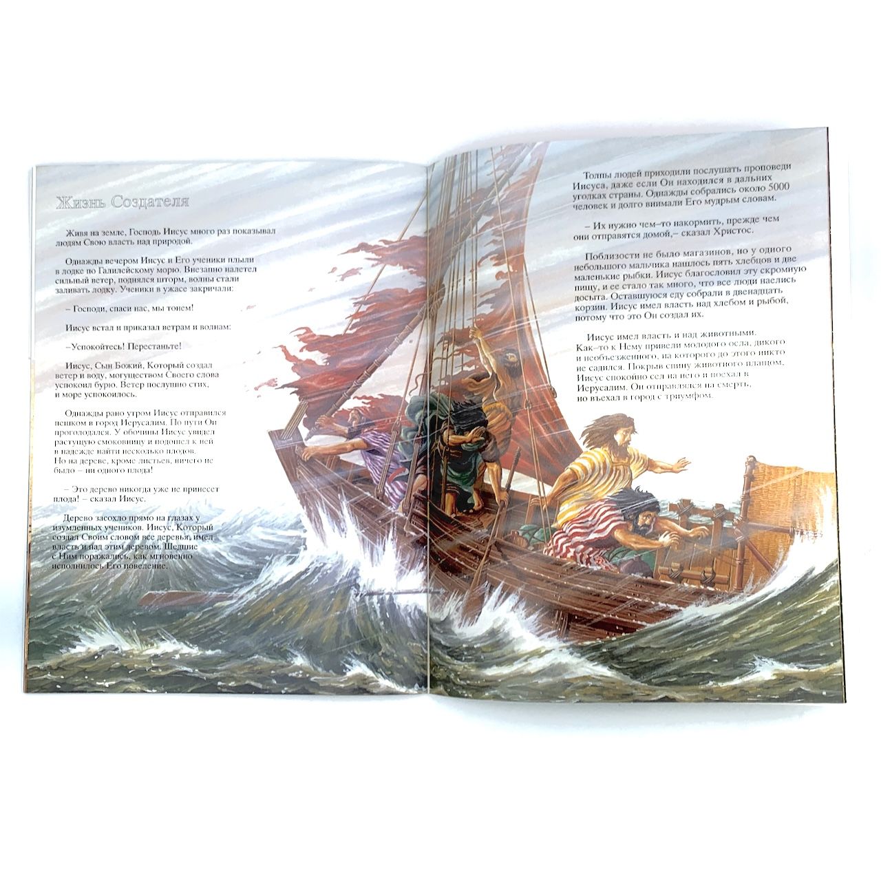 Заботливый Творец. С цветными иллюстрациями. Большой формат. Для детей 5+