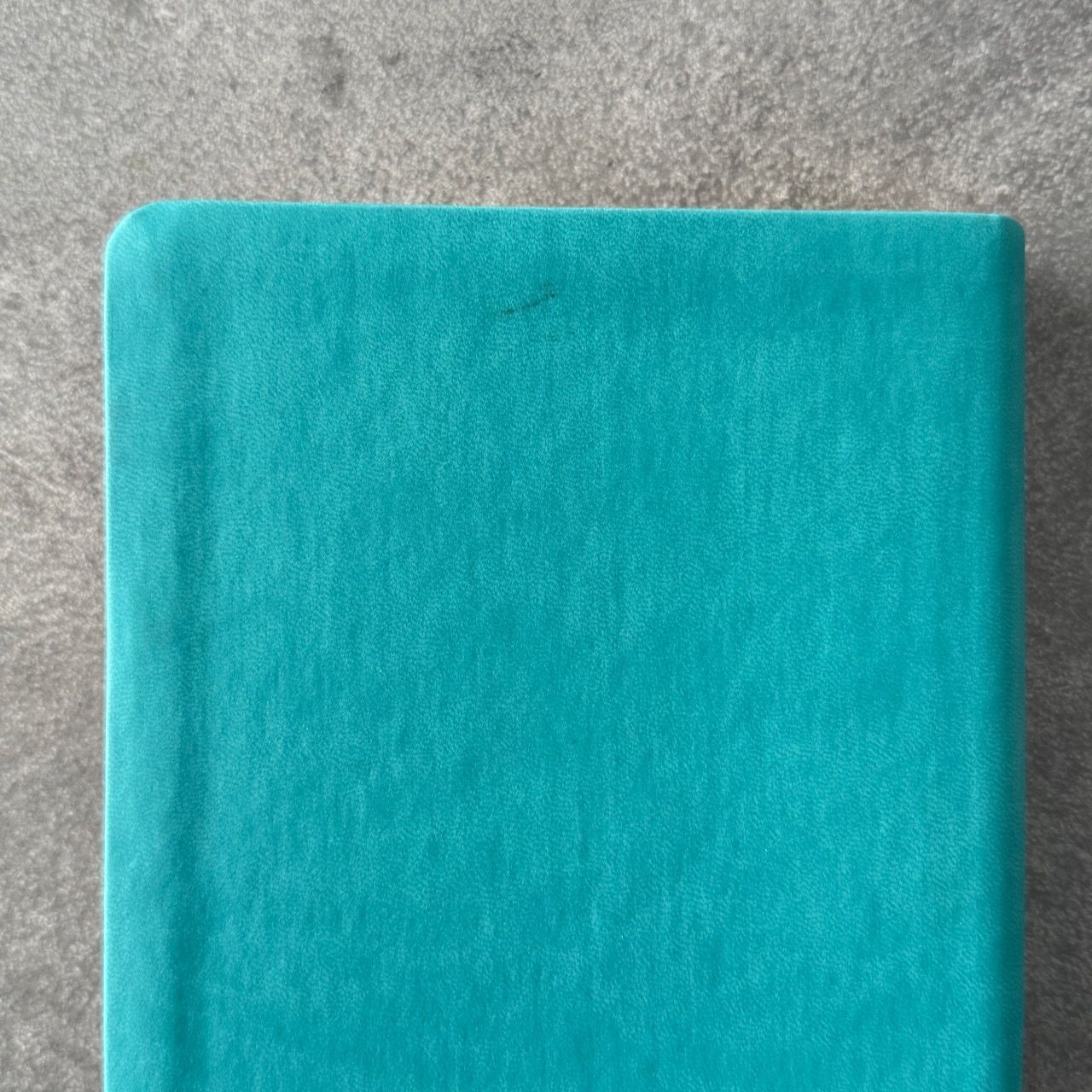 Дисконт №2  на задней сторой обложке, в верху по центру серая черточка. Библия 055 код 25055-60 дизайн "Библия с вензелем", переплет из эко кожи, цвет бирюзовый, средний формат, 143*220 мм