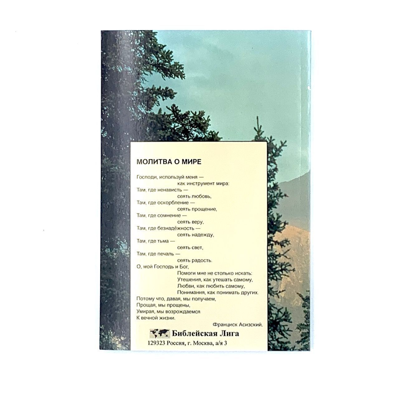 Новый Завет "Путь к новой жизни", малый формат 115х175 мм, средний шрифт- 12 кегель, парал места по центру страницы