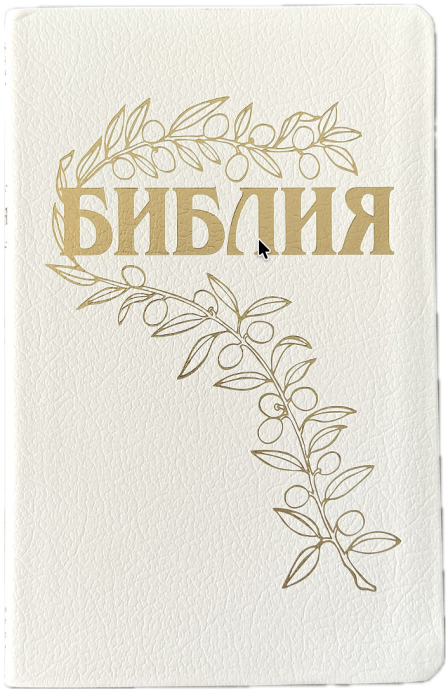 Дисконт светло-зеленое пятнышко с задней стороны обложки. Библия Геце 057, код 25057-16, цвет белый пятнистый, кожаный переплет, золотой обрез, две закладки, цветные карты, приложение Библейский спутник, размер 140*216 мм