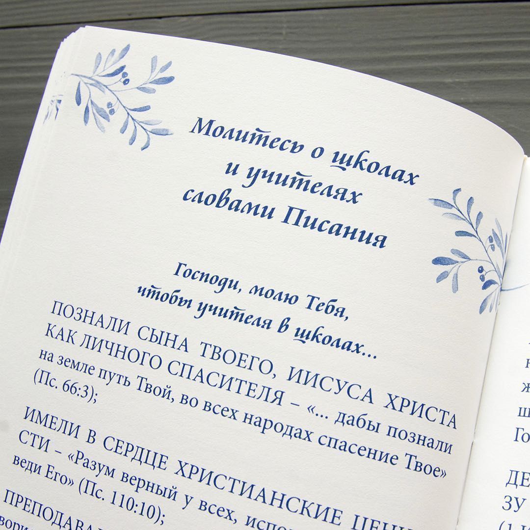 Молитвенный ежедневник "Мечтай. Молись. Действуй."  обложка Разноцветные перышки