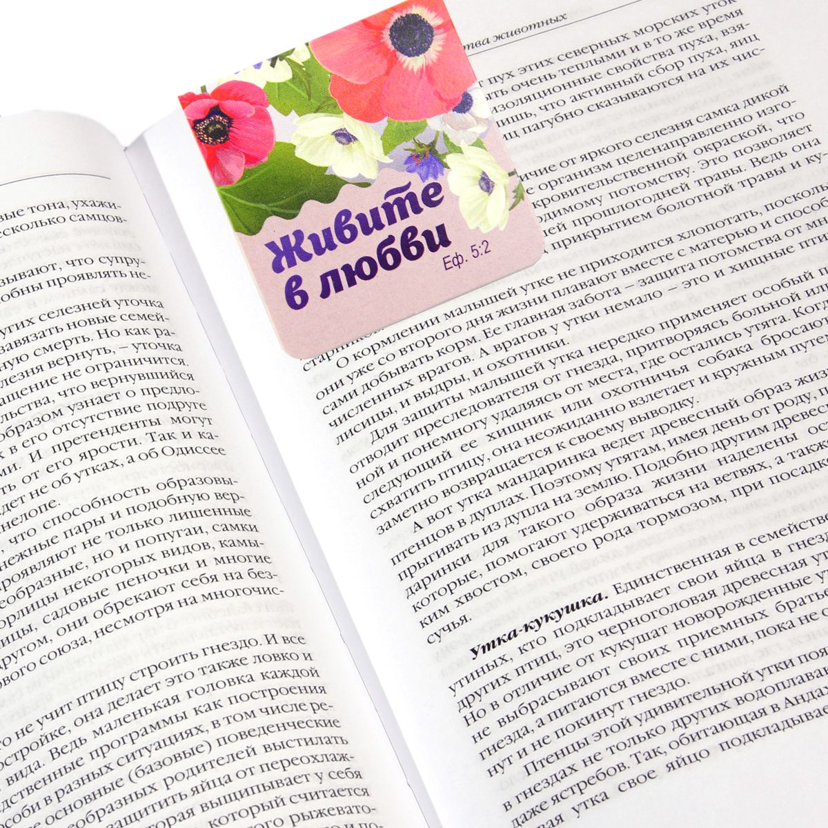 Набор магнитных двойных закладок (4шт) "Все у вас будет с любовью"