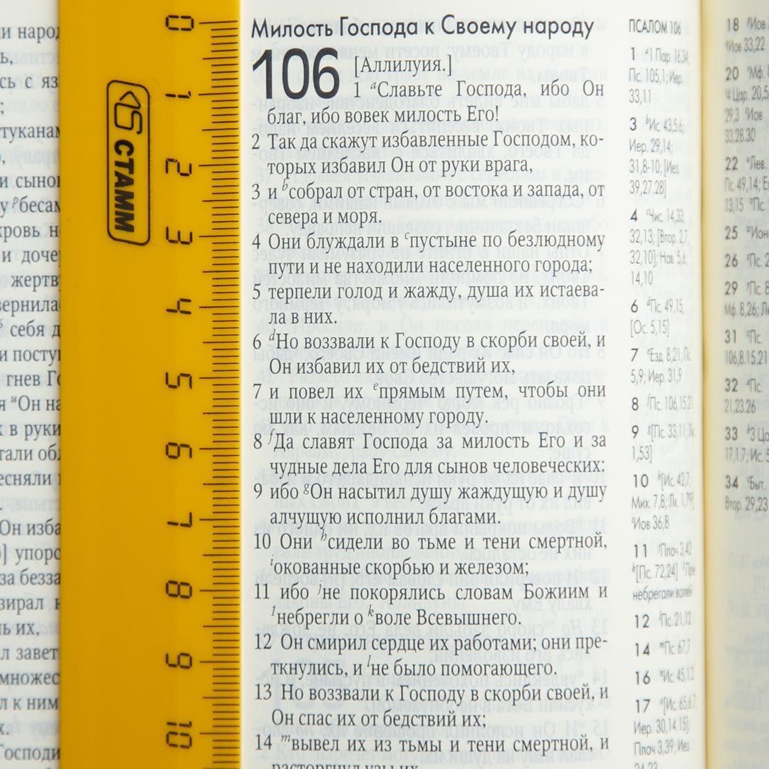 Новая Женевская учебная Библия