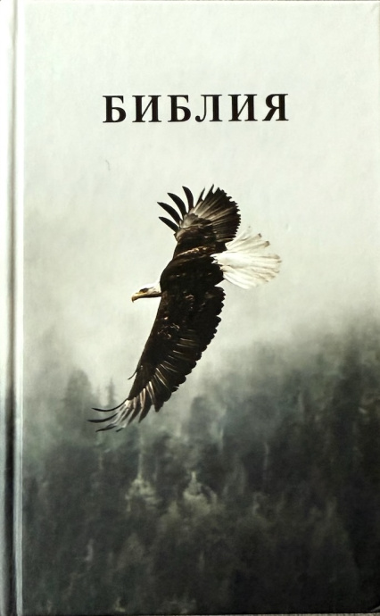 Библия 048 код 25048-55 дизайн, цветная печать"орел", твердый переплет, формат 125*195 мм