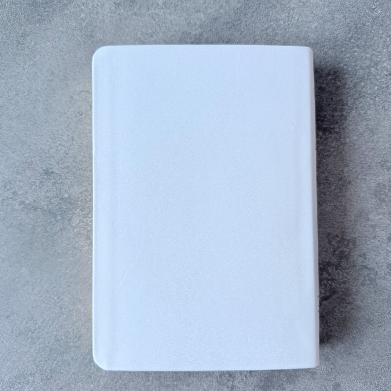 Библия в современном русском переводе 061. под редакцией Кулакова. Кожаный переплет, золотые страницы, цвет белый