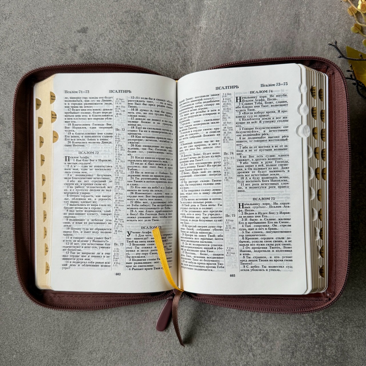 Библия 048 zti код 25048-24  дизайн "термо штамп терновый венец", кожаный переплет на молнии с индексами, цвет коричневый, формат 125*195 мм