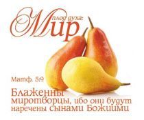 Открытка маленькая №331 - Плод духа: Мир. Матфея 5:9