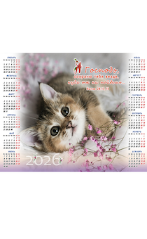  ,  4  2026  ", ,   ,    "  28:13,15