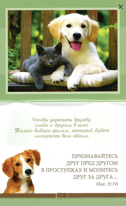 Дружба верная. Цитатник для детей 4+