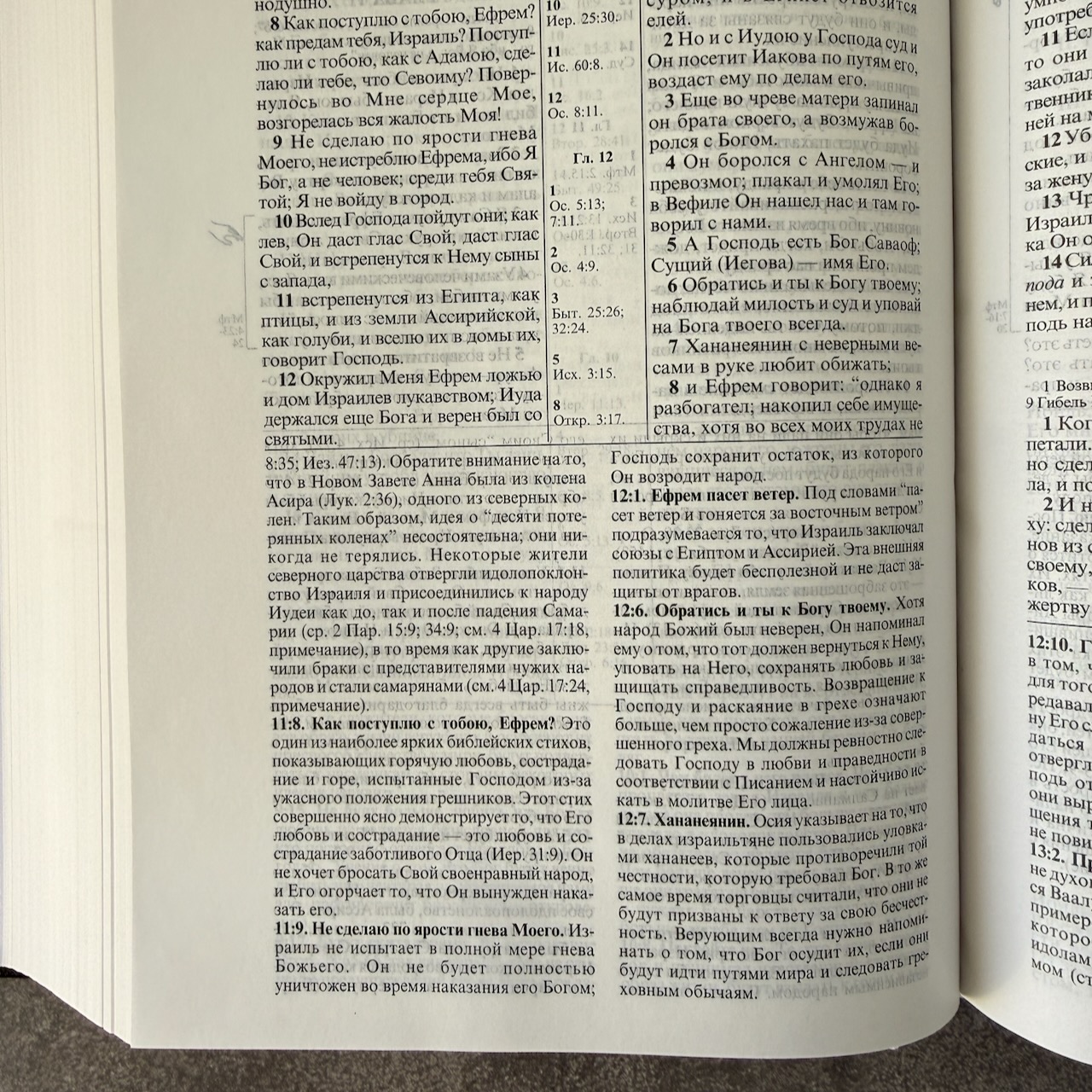 Библия с комментариями "Полноценная жизнь" 065, код 25065-1, твердый переплет, две закладки, цвет черный, цветные карты