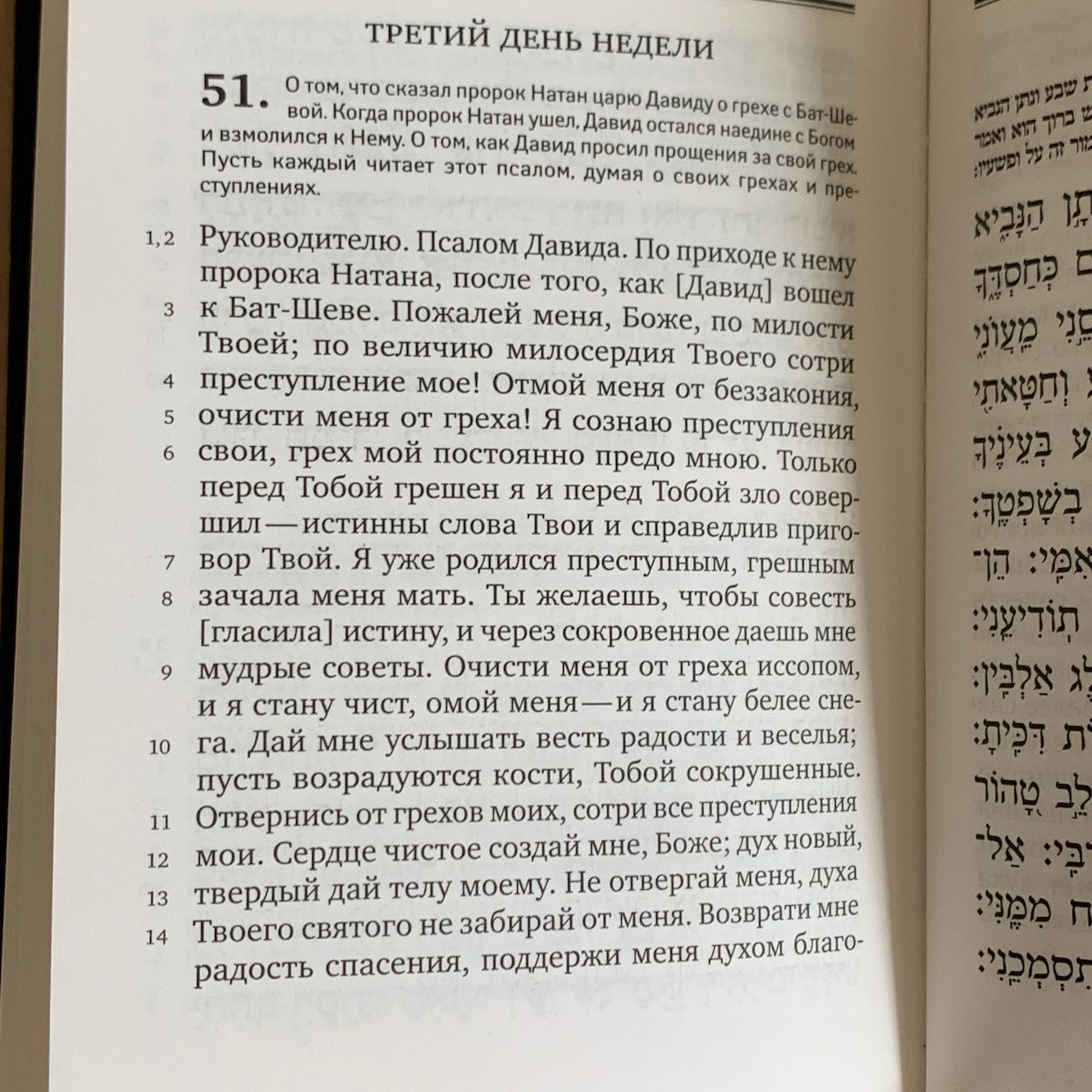 Книга Псалмов. Тегилим. Библиотека Еврейских текстов. Литургия. Крупный шрифт