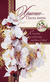 Открытка средняя - Христос - Пасха наша! Счастья и радости, любви и добра! (белые цветы) - открытка почтовая 10х15см, 159101