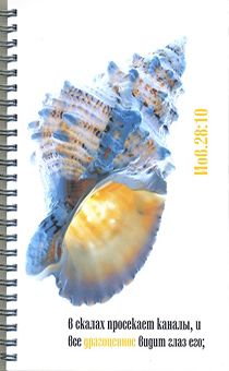 Тетрадь на пружине "В скалах просекает каналы..." ИОВ 28:10, А5 формата, 45 листов (жемчужина)