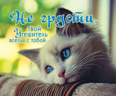 Открытка маленькая №065 - Не грусти, твой Утешитель всегда с тобой.
