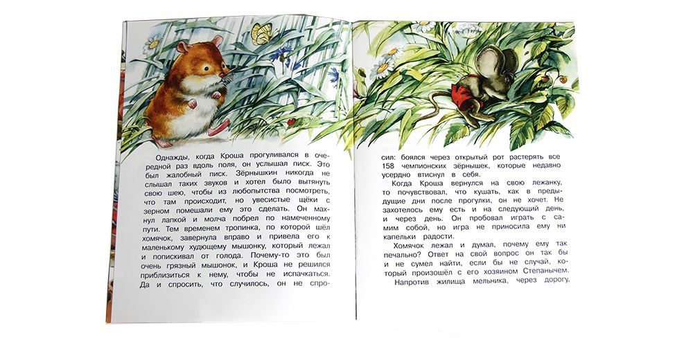 Как хомячок Кроша Зернышкин научился быть добрым. Рассказ для детей о совести. Для детей 6+