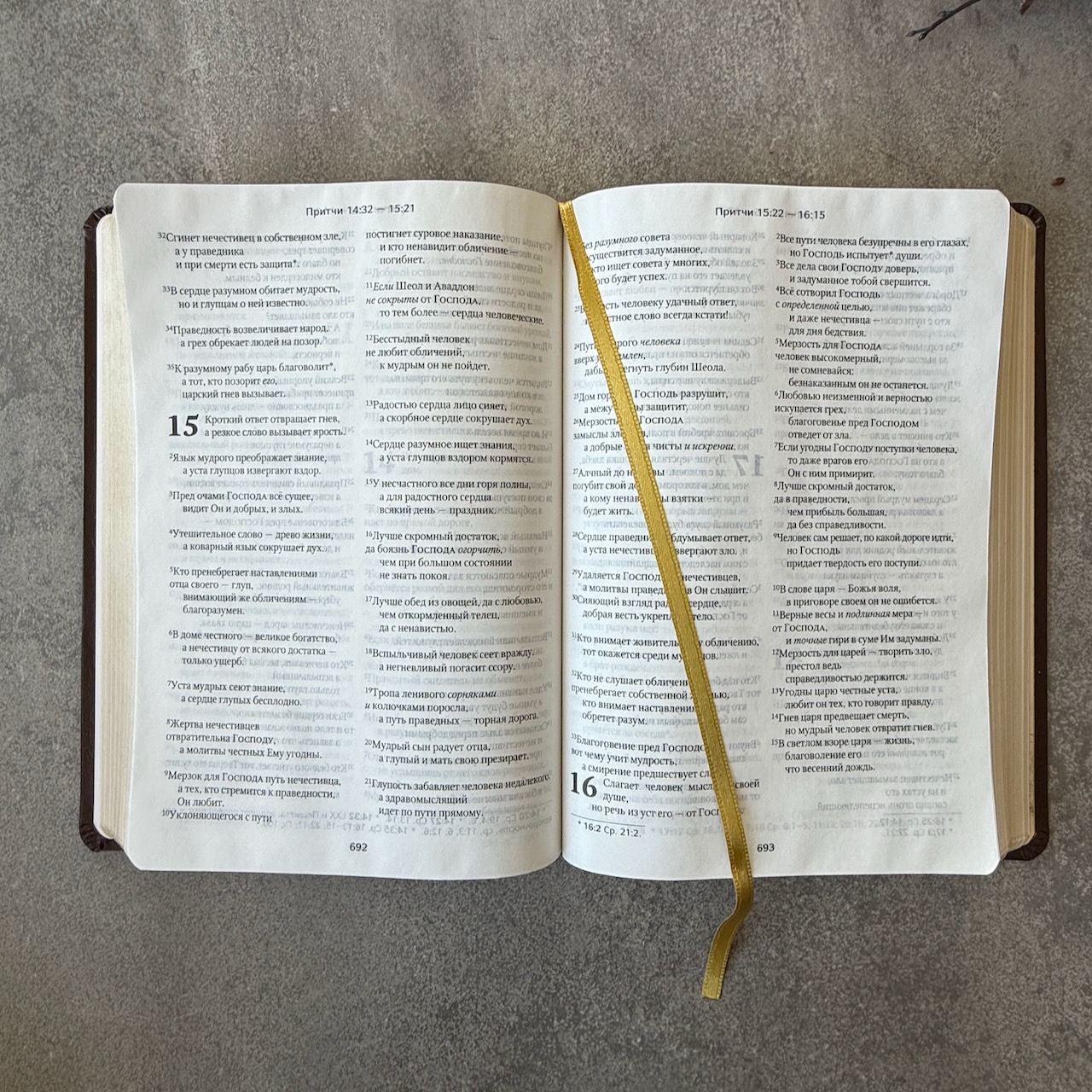 Библия в современном русском переводе 061. под редакцией Кулакова. Кожаный переплет, золотые страницы, цвет темно-коричневый