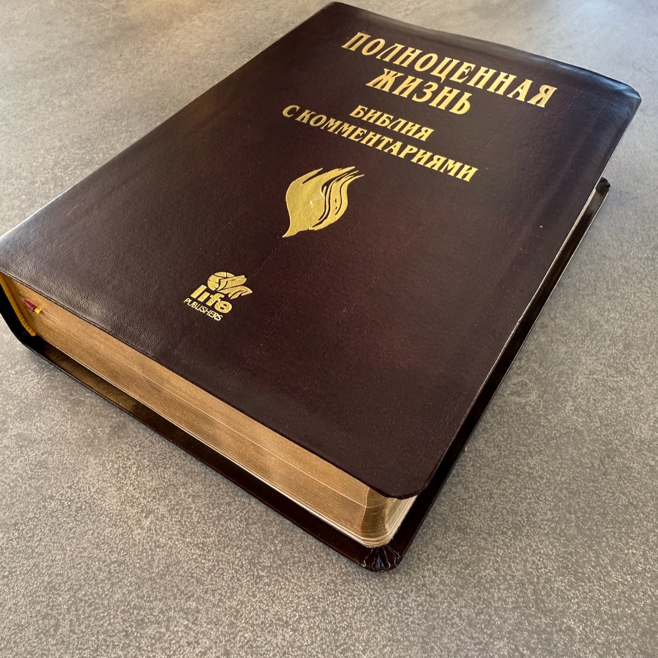 Библия с комментариями "Полноценная жизнь" 065TI, код 25065-11, кожаный переплет, две закладки, цвет коричневый с оттенком бордо с прожилками, цветные карты