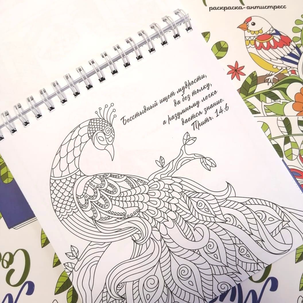 Мудрость Соломона. Раскраска-антистресс. Помогает еще лучше понять книгу Притч и выучить библейские стихи.