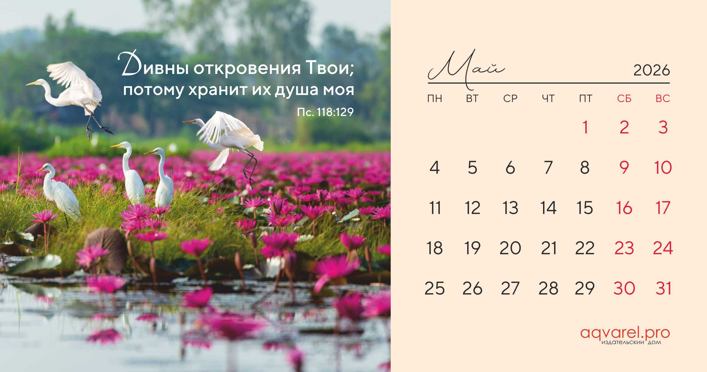 Календарь настольный "Домик" перекидной на 2026 год, 21х11 см "Дыхание природы"