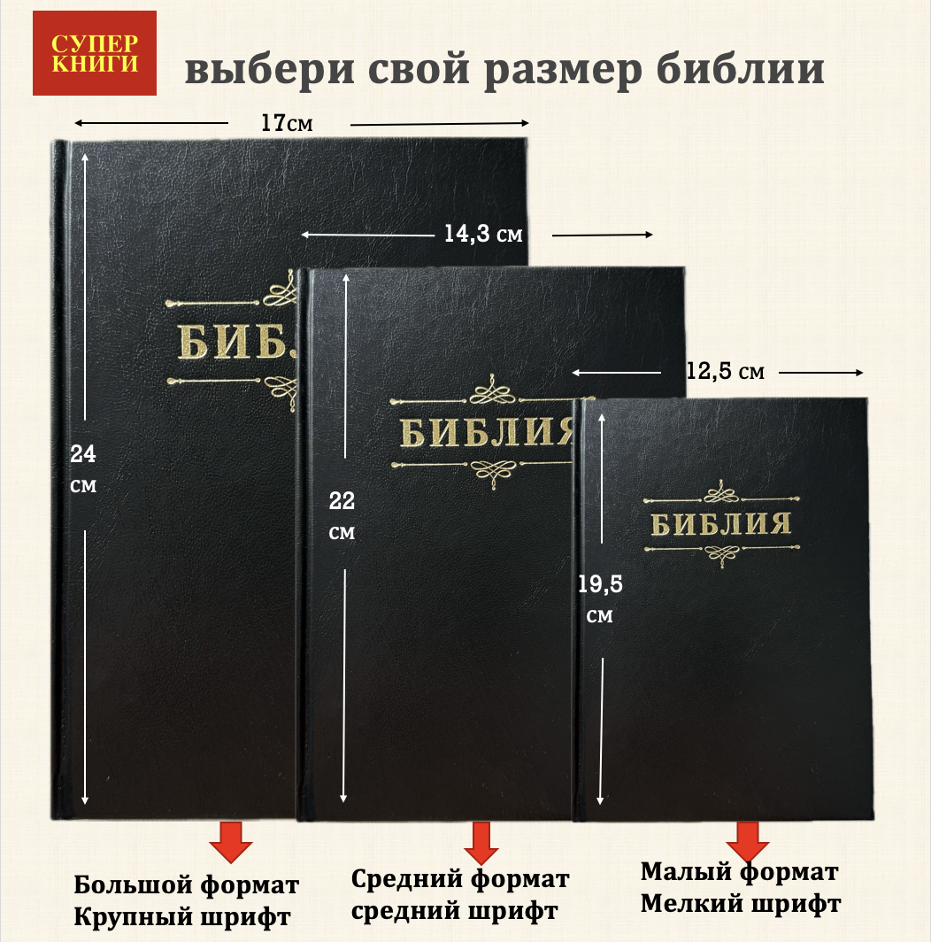 Дисконт 3. Белая точка на лицевой обложке и черная точка с задней стороны. Библия 076z код 25076-44, термо штамп "Терновый венец", переплет из эко кожи на молнии,  цвет серо-бежевый, размер 170x240 мм