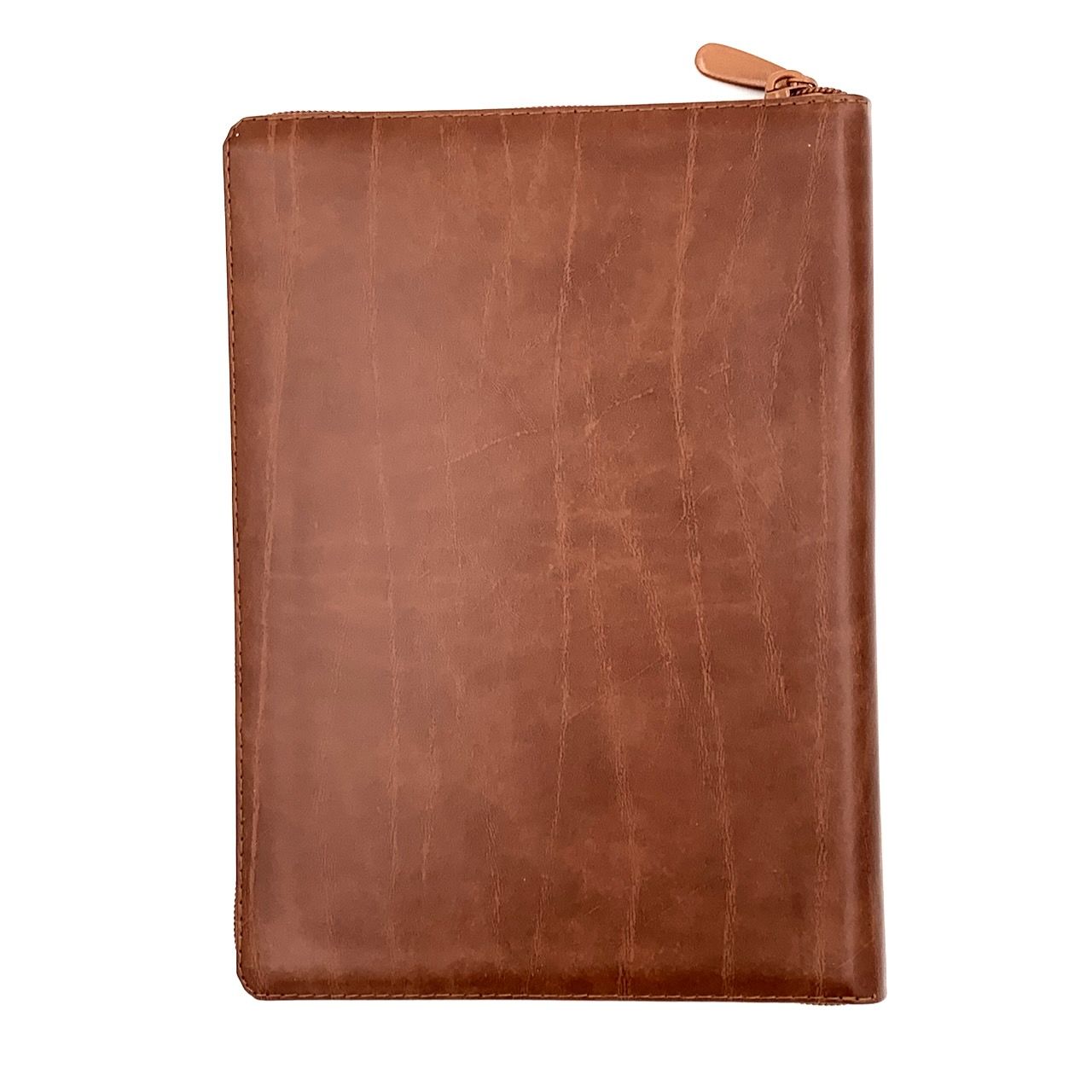 Библия 076zti код 23076-14, дизайн "руки молящегося", кожаный переплет на молнии с индексами, цвет светло-коричневый с прожилками, размер 180x243 мм