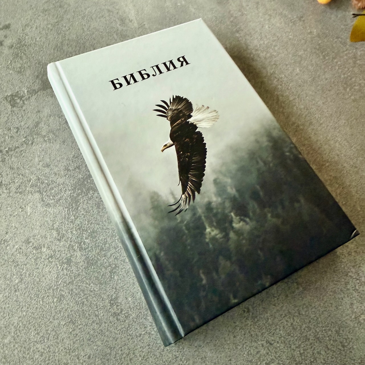 Библия 048 код 25048-55 дизайн, цветная печать"орел", твердый переплет, формат 125*195 мм