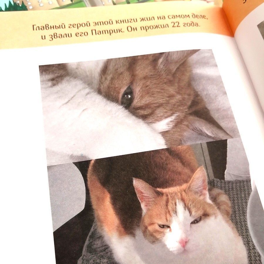 Тигруша. Расказы для детей 5+. Большой формат, красочные картинки