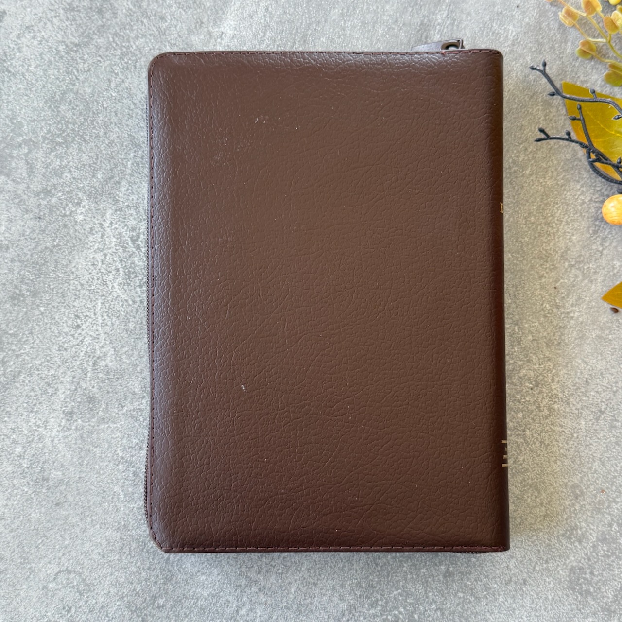 Библия в современном русском переводе 061zti под редакцией Кулакова. Кожаный переплет на молнии с индексами, золотые страницы, Большой формат 162*220мм, цвет темно-коричневый