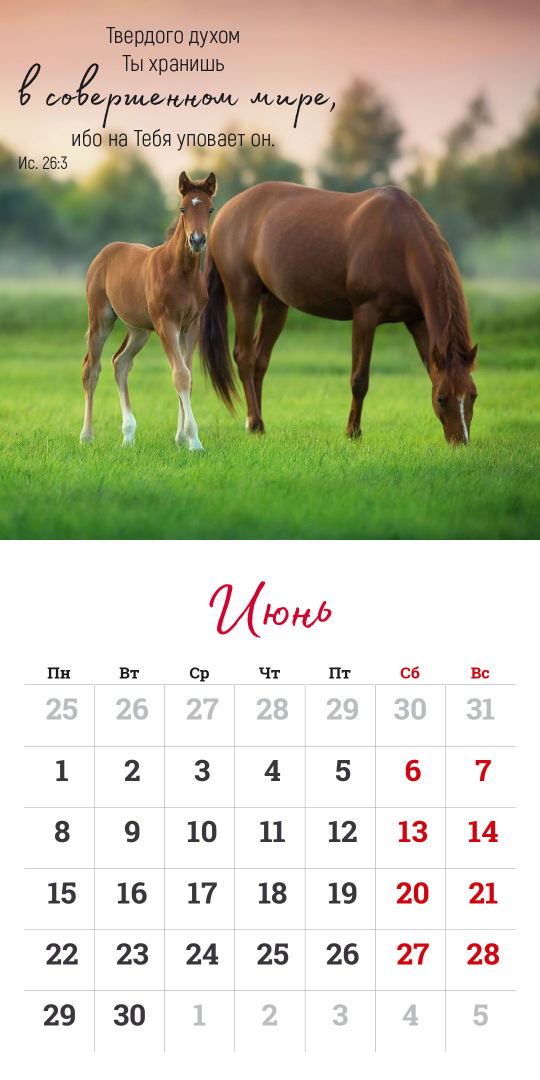 Календарь перекидной на скрепке на 14 страницах на 2026 год 30*30 см (большой) "Мудрость Божьего творения"