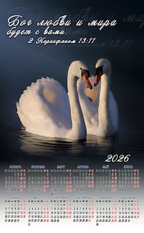  ,  3  2026  "      "  2  13:11