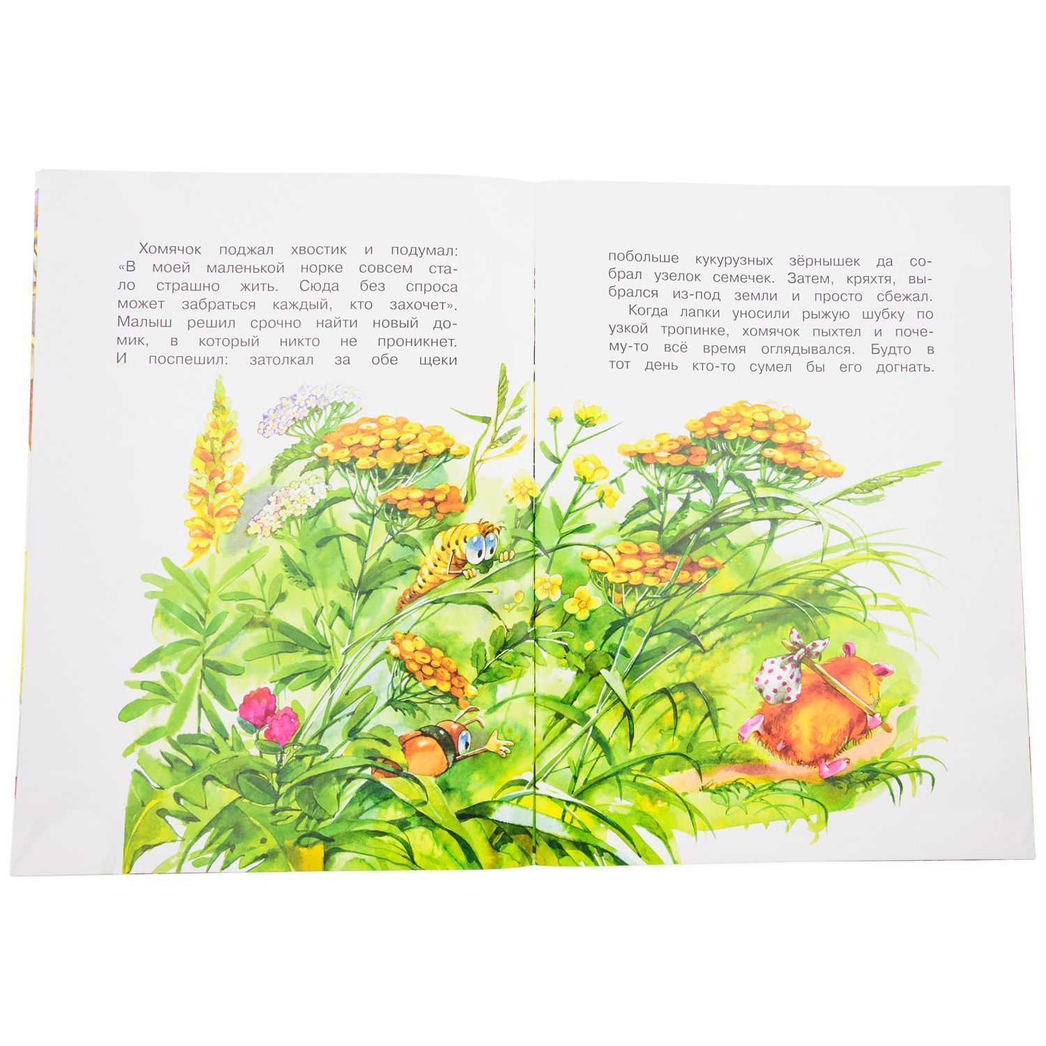 Про маленькую хомячка. Для детей 3+