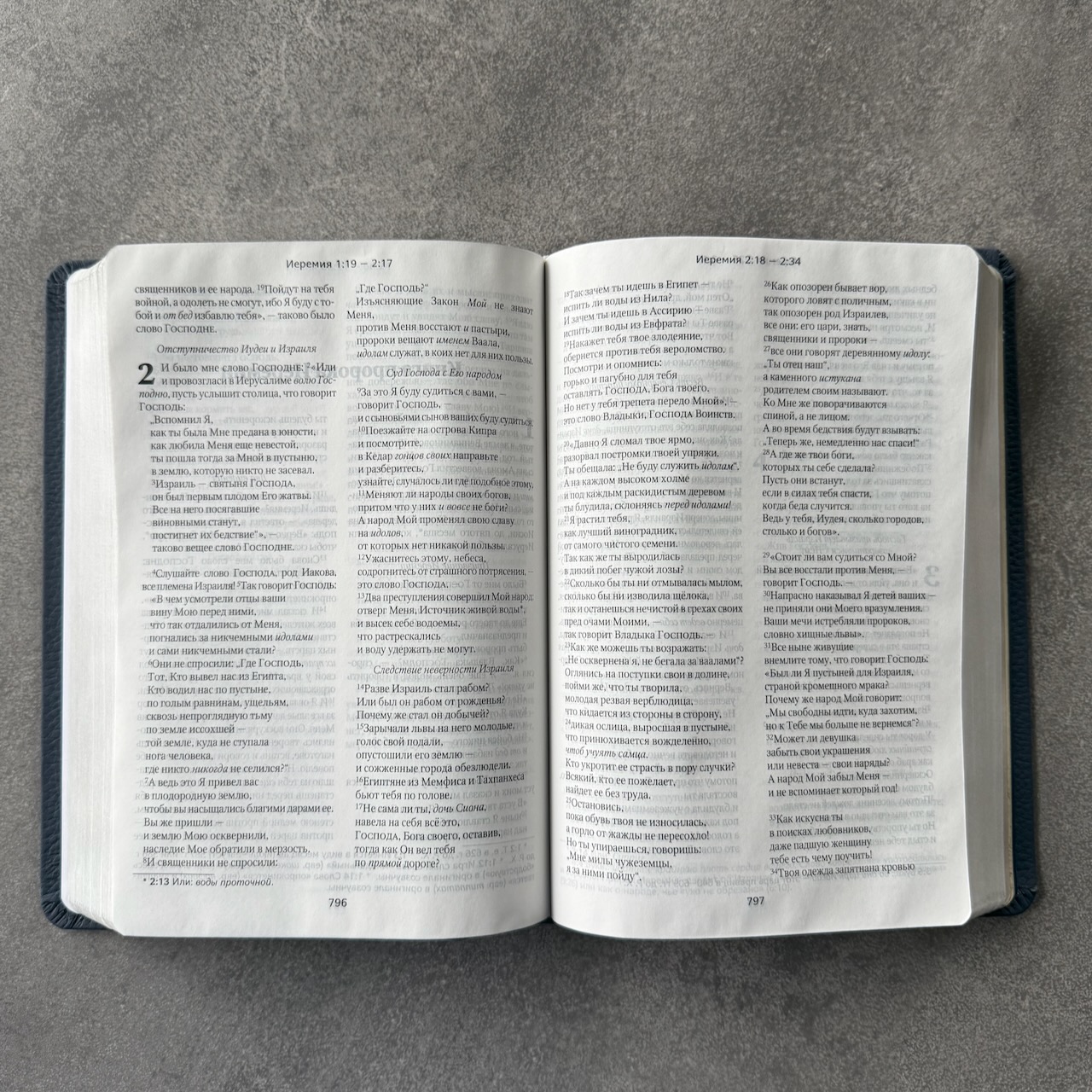 Библия в современном русском переводе 061. под редакцией Кулакова. Кожаный переплет, серебряные страницы, цвет темно-синий