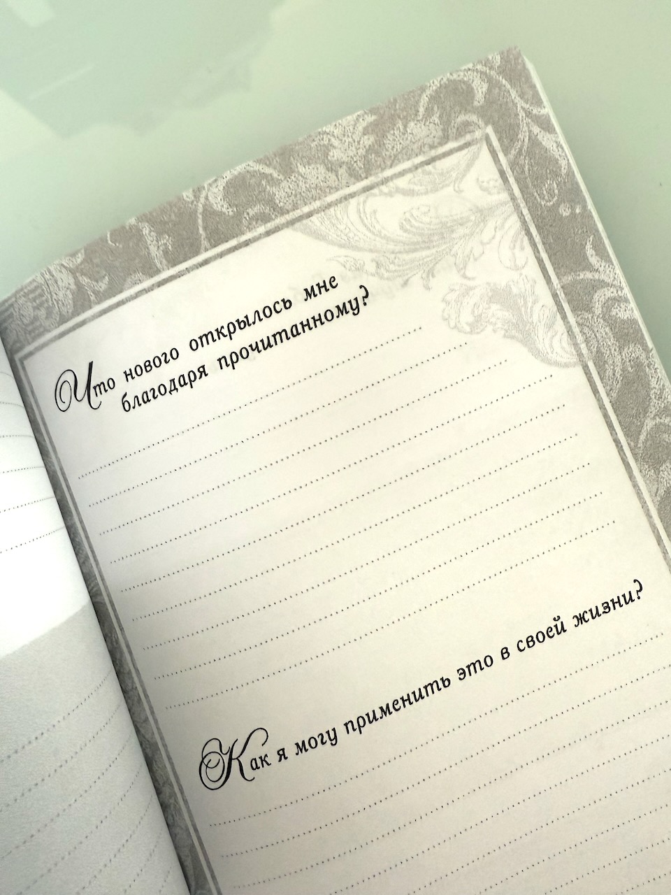 Мой дневник чтения библии "Васильки"