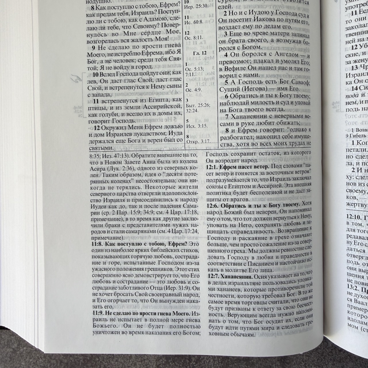 Библия с комментариями "Полноценная жизнь" 065, код 25065-7, твердый переплет, две закладки, цвет бордо, цветные карты