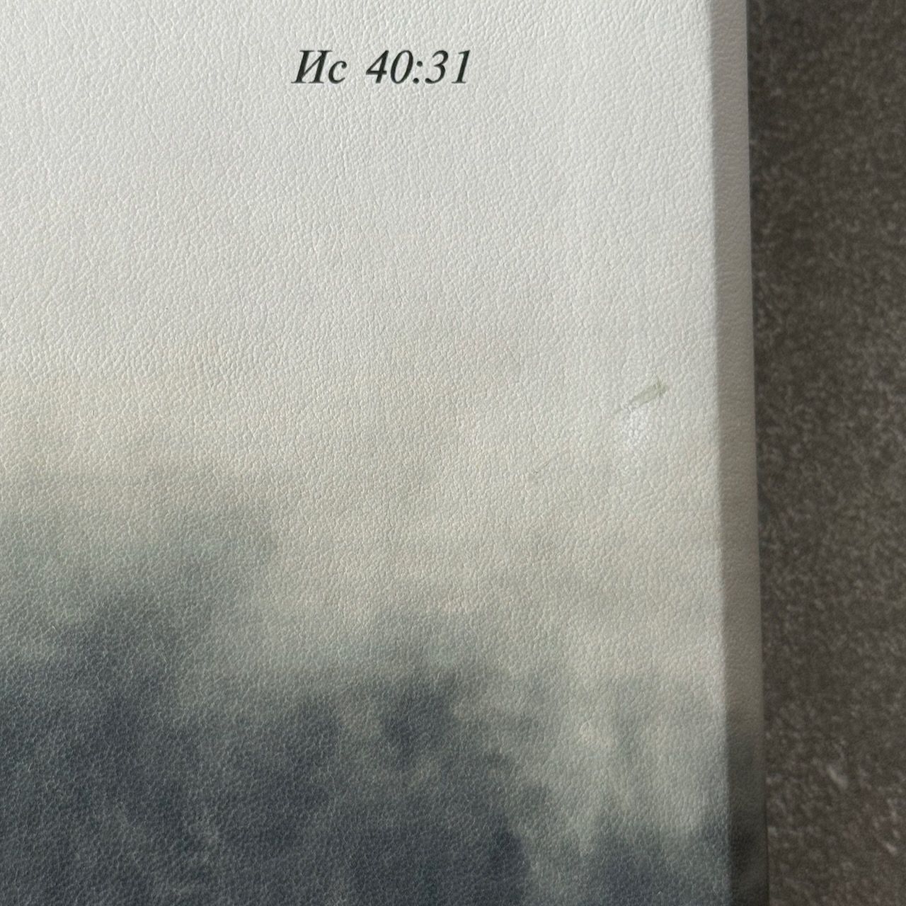Дисконт Серая черточка с задней стороны обложки, по центру. Библия 055zti код 25055-66  цветная печать "Орел", переплет из искусственной кожи на молнии с индексами, формат 143*220 мм