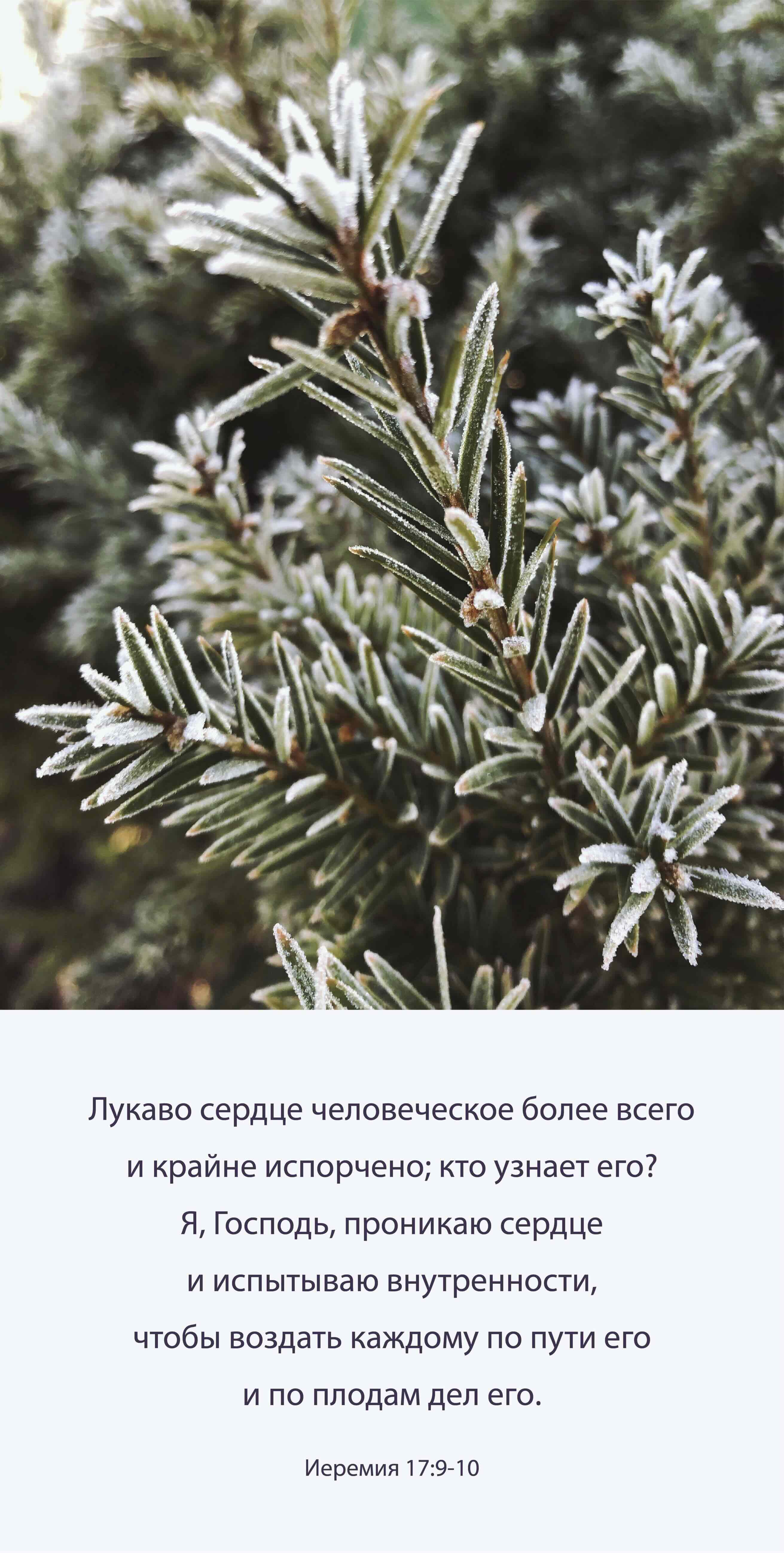 Календарь перекидной на скобе "Природа славит Творца"  на 29*29 см на 2027 (планер) на 12 листах