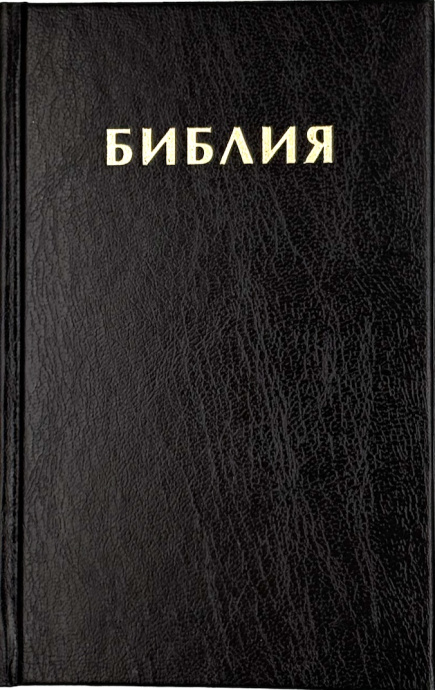 Библия 047 формат, надпись "Библия", размер 120*186 мм, цвет черный, твердый переплет, шрифт 10-11 кегель