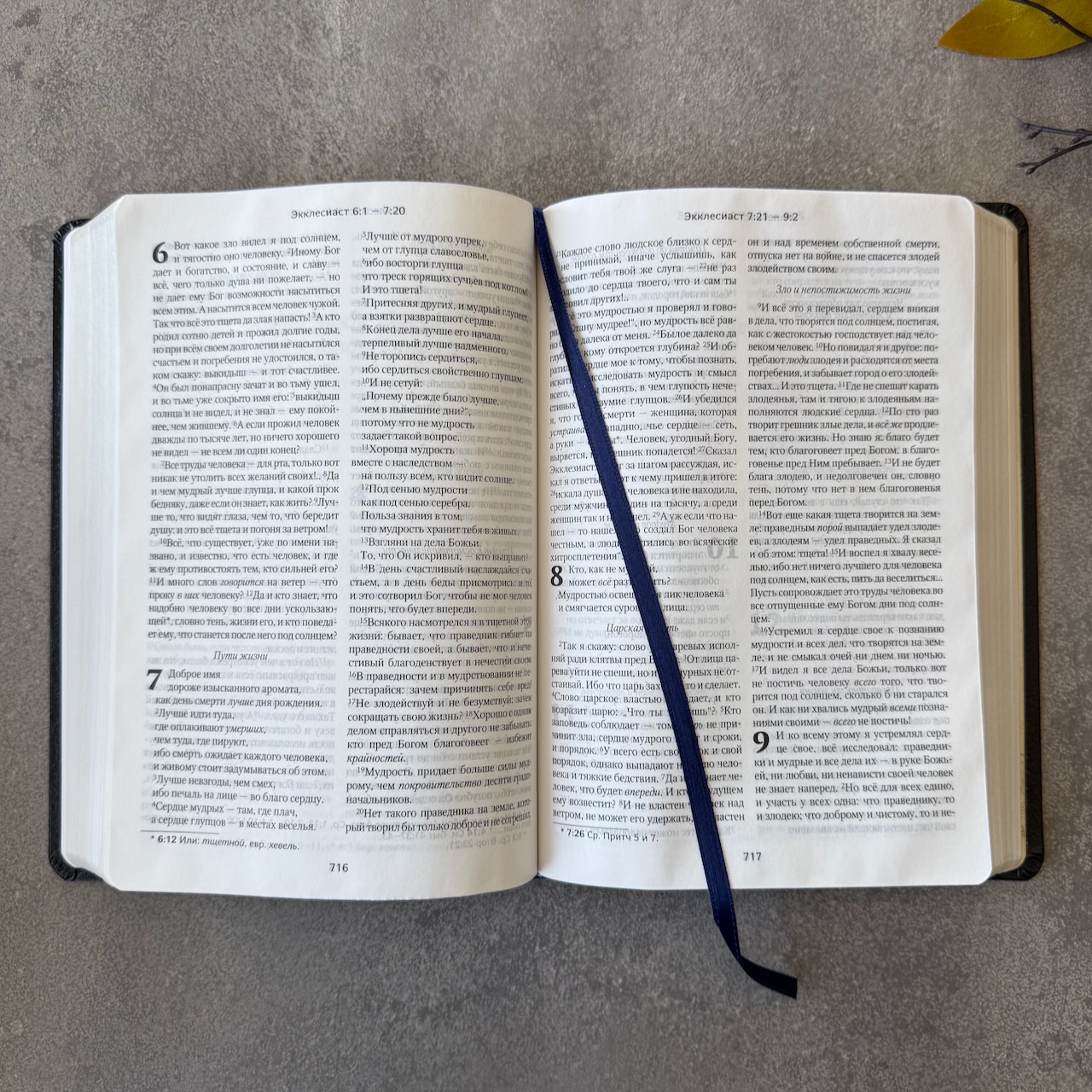 Библия в современном русском переводе 061. под редакцией Кулакова. Кожаный переплет, серебряные страницы, цвет темно-синий