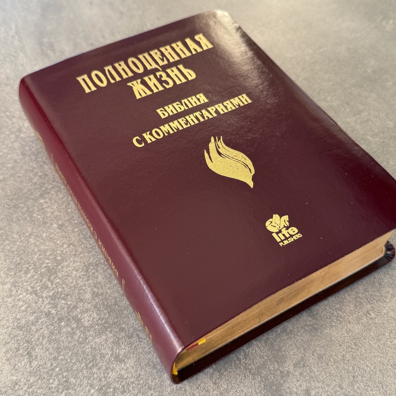 Библия с комментариями "Полноценная жизнь" 065TI, код 25065-13, кожаный переплет, две закладки, цвет коричневый с оттенком бордо глянец, цветные карты