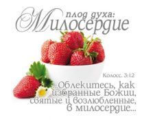 Открытка маленькая №334 - Плод духа: Милосердие. Колоссянам 3:12