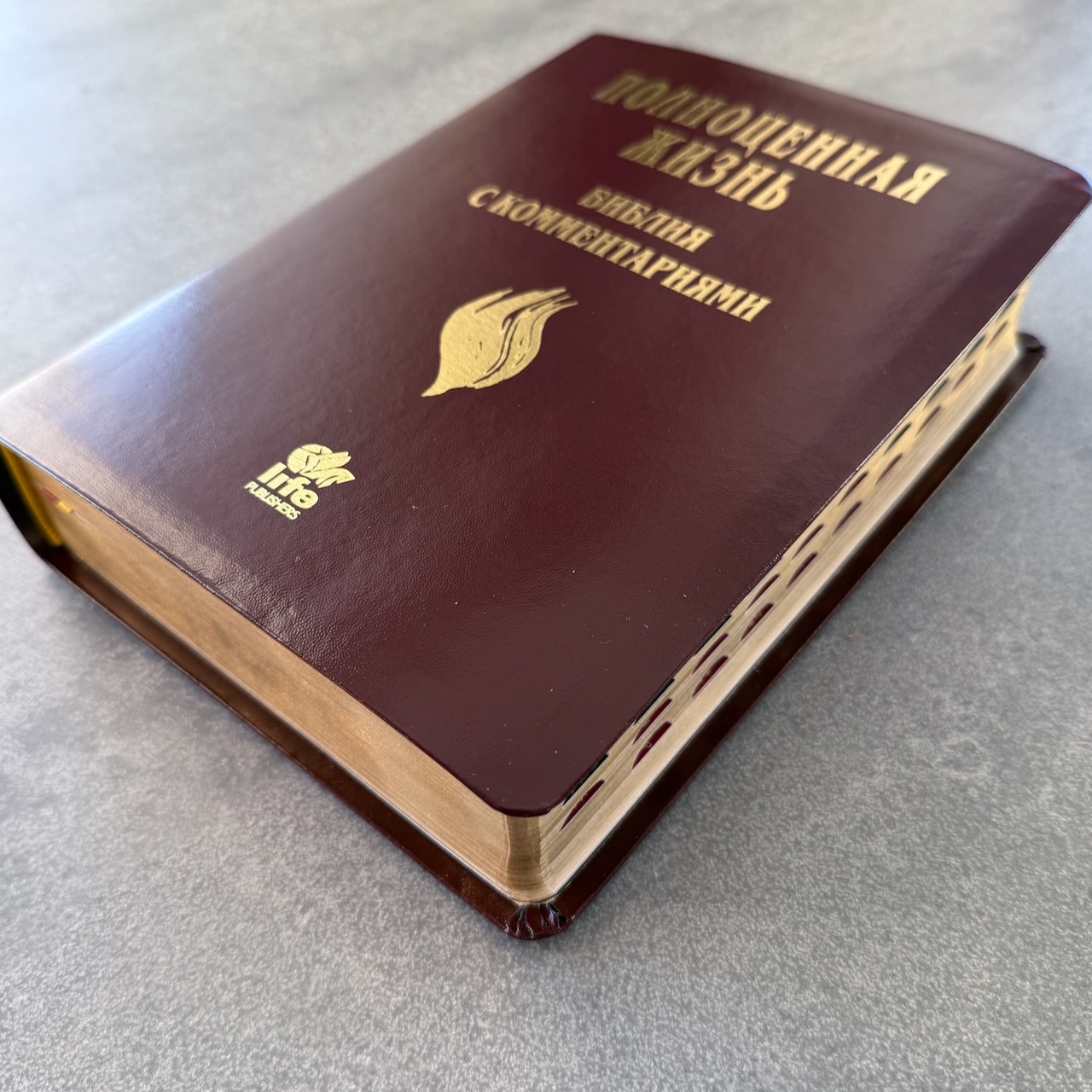 Библия с комментариями "Полноценная жизнь" 065TI, код 25065-13, кожаный переплет, две закладки, цвет коричневый с оттенком бордо глянец, цветные карты
