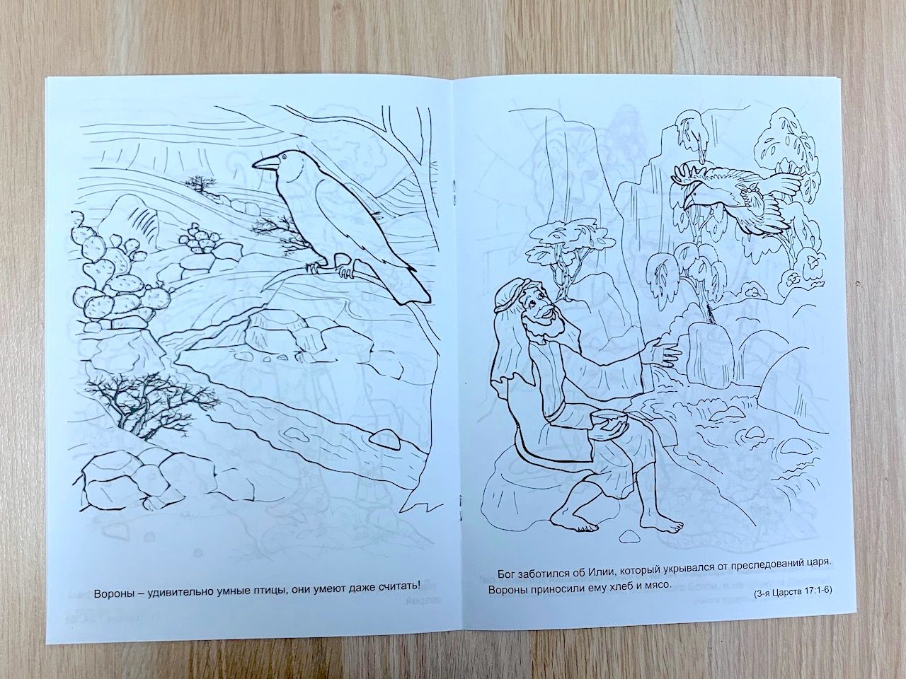 Животные и птицы библии (книжка -раскраска)