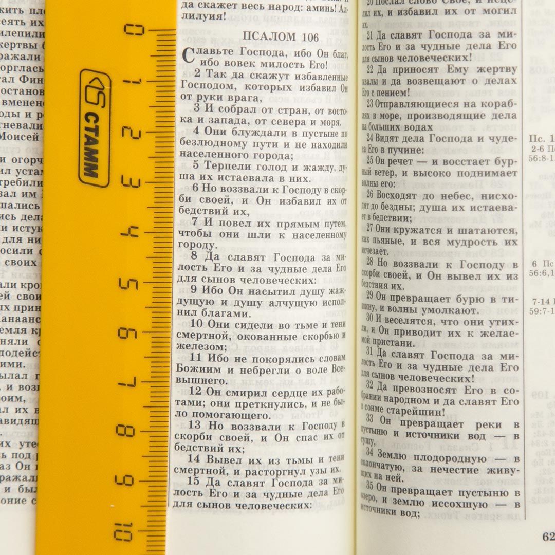 Библия 046 формат, дизайн колос, цвет черный, твердый переплет, размер 120*176 мм, размер шрифта 10-11 кегель