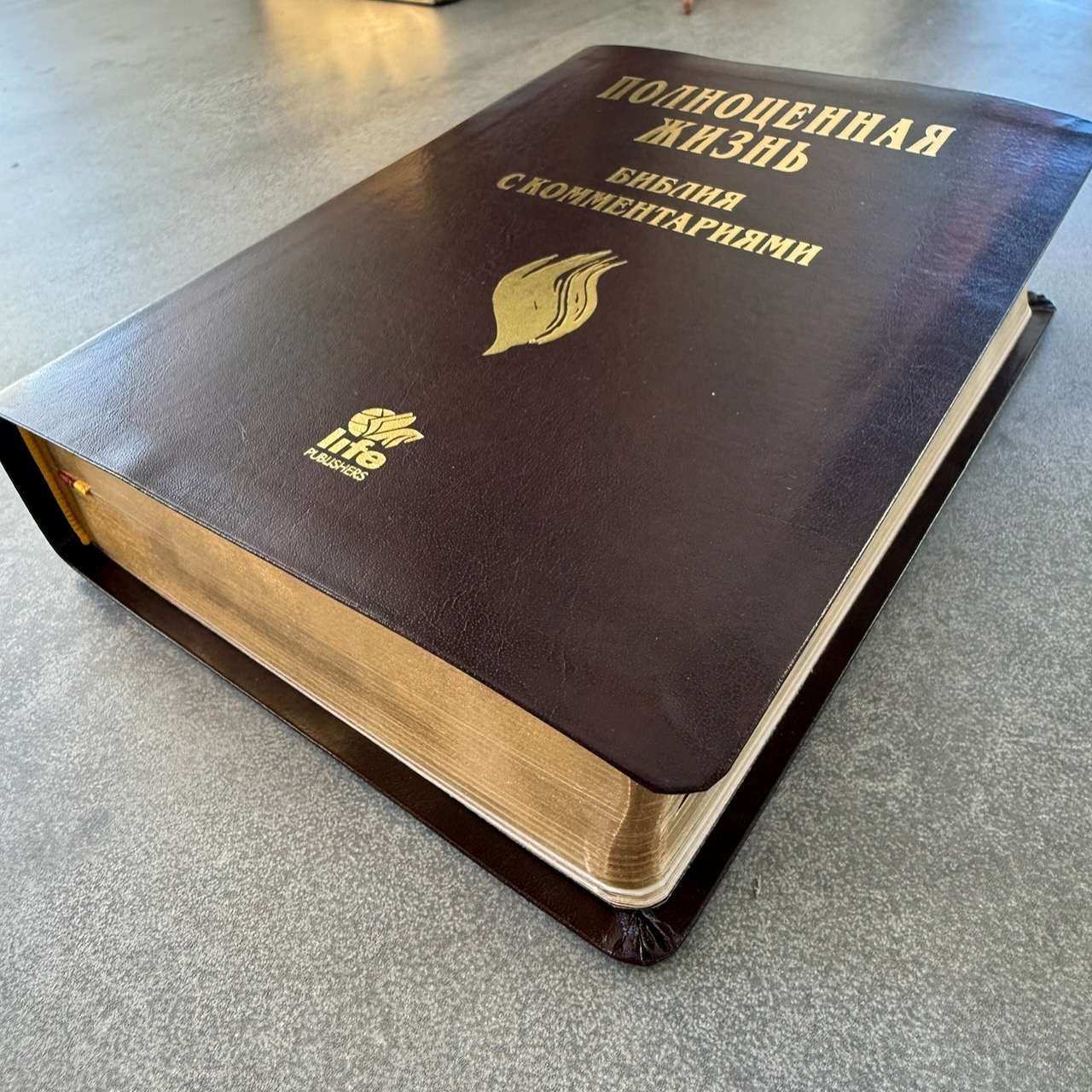 Библия с комментариями "Полноценная жизнь" 065TI, код 25065-16, кожаный переплет, две закладки, цвет темно-бордовый, цветные карты