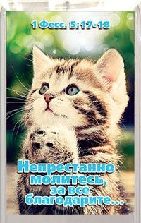 Пластиковый магнит-прямоугольник  7,5*5,5 см  "Непрестанно молитесь, за все благодарите…" 1-е Фесс. 5:17-18  (котенок)