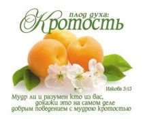 Открытка маленькая №336 - Плод духа: Кротость. Иакова 3:13
