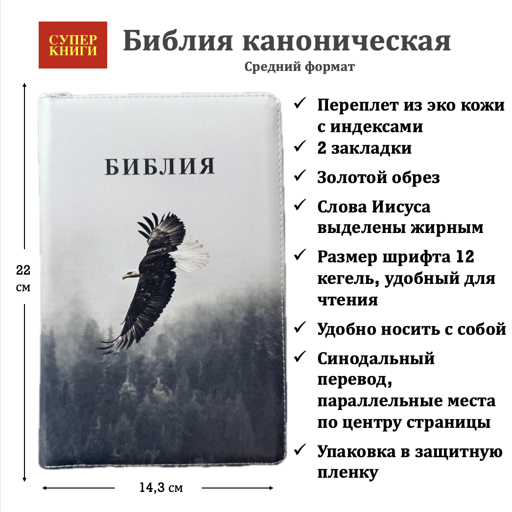 Дисконт Серая черточка с задней стороны обложки, по центру. Библия 055zti код 25055-66  цветная печать "Орел", переплет из искусственной кожи на молнии с индексами, формат 143*220 мм
