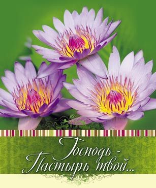 Открытка маленькая №342 - Господь - Пастырь твой