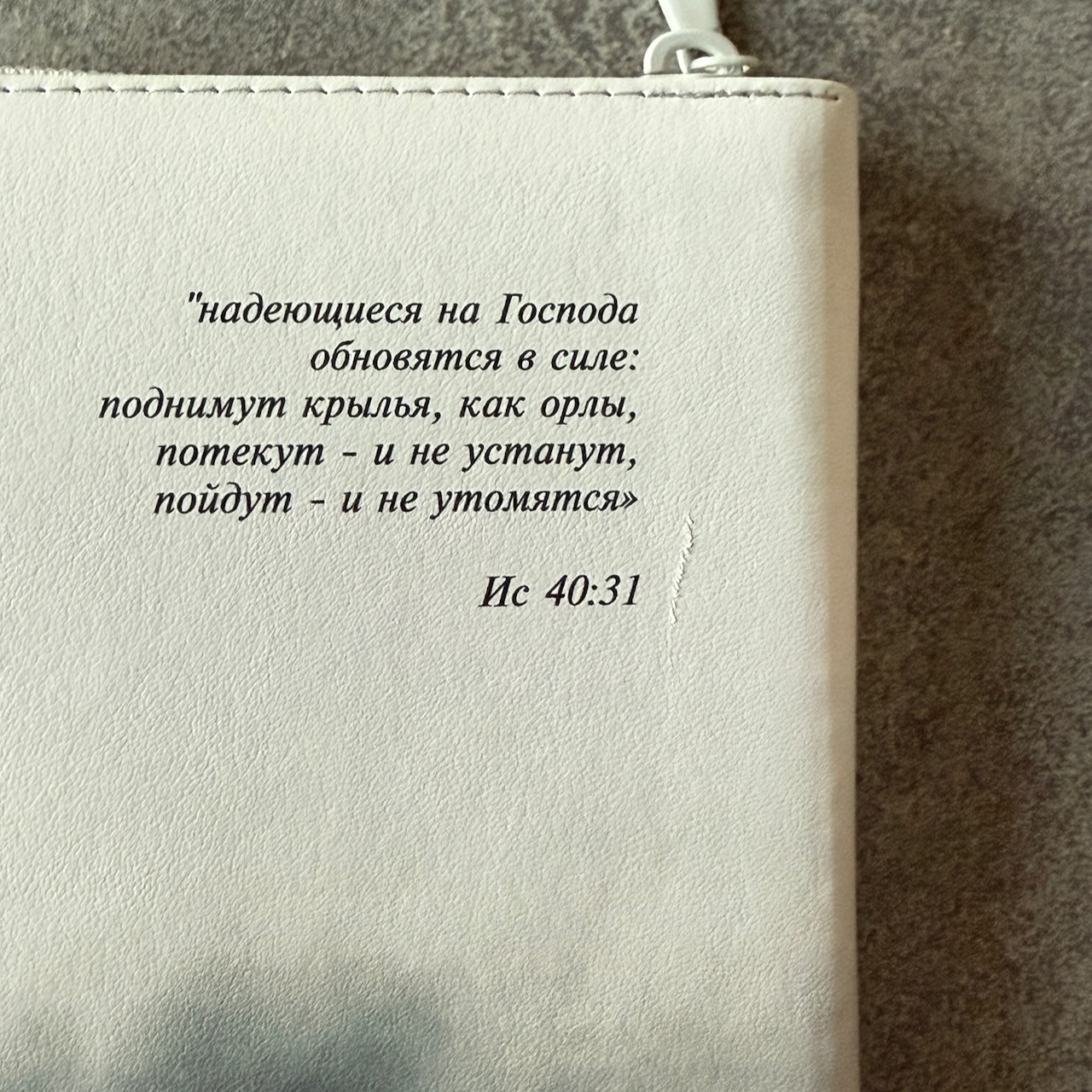 Дисконт. На задней стороне обложки справа от стиха из библии зацепка в виде полосы. Библия 048 zti код 25048-54 цветная печать "орел", переплет из искусственной кожи  на молнии с индексами, формат 125*195 мм, золотой обрез